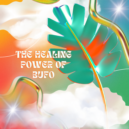 The Healing Power of Bufo: A Journey Within